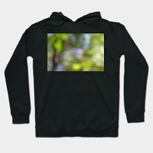 Memory of trees Hoodie